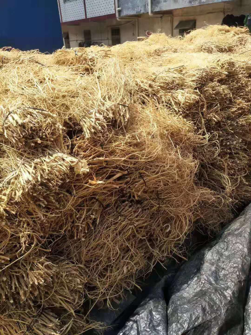 石参根【包邮】三斤起发货可批量可零售量大从优
