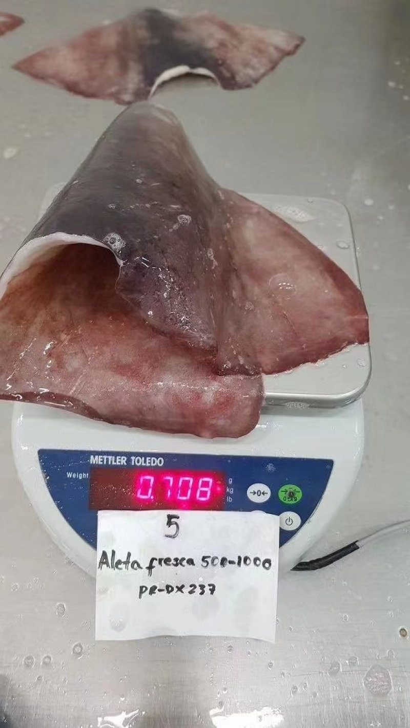鱿鱼尾新鲜现切鱿鱼耳，鱿鱼翅，鱿鱼大鱿鱼尾鲜度好份量足