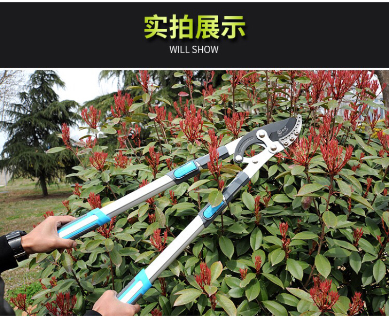 高枝剪果树剪刀树枝剪刀园林省力修技剪强力粗技剪大力树枝剪