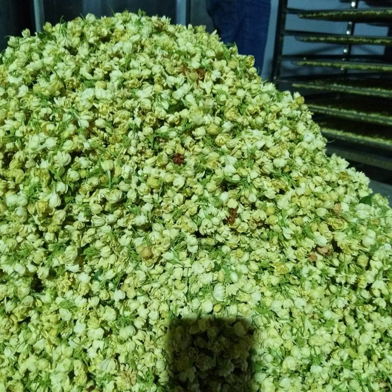 茉莉干花
