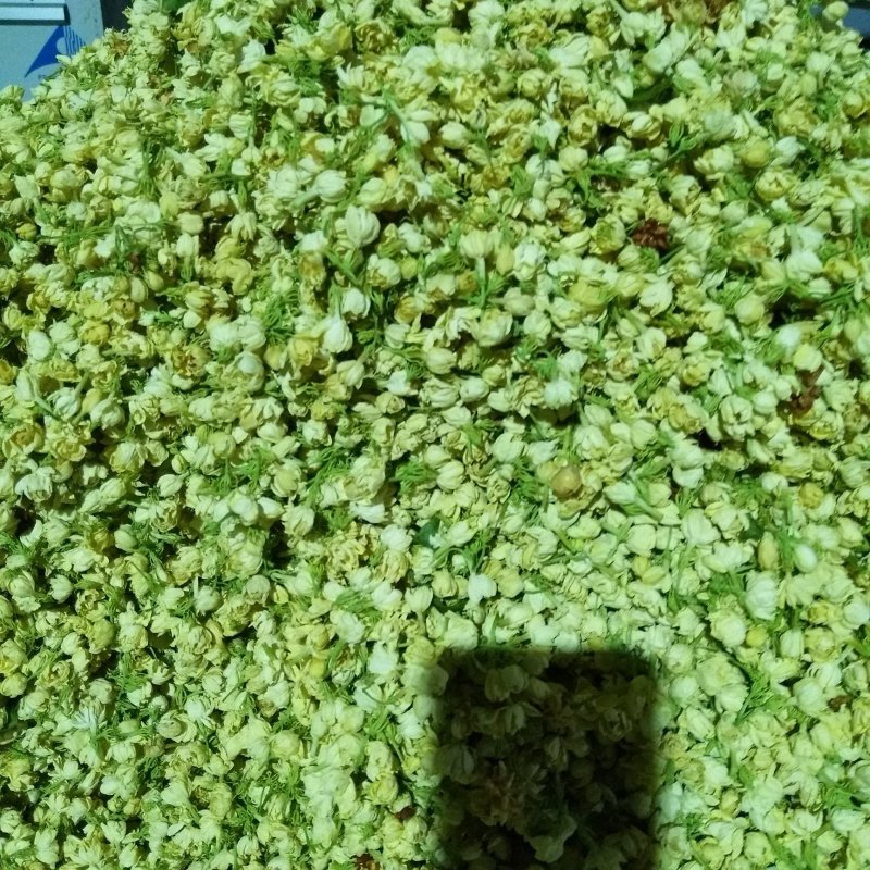 茉莉干花