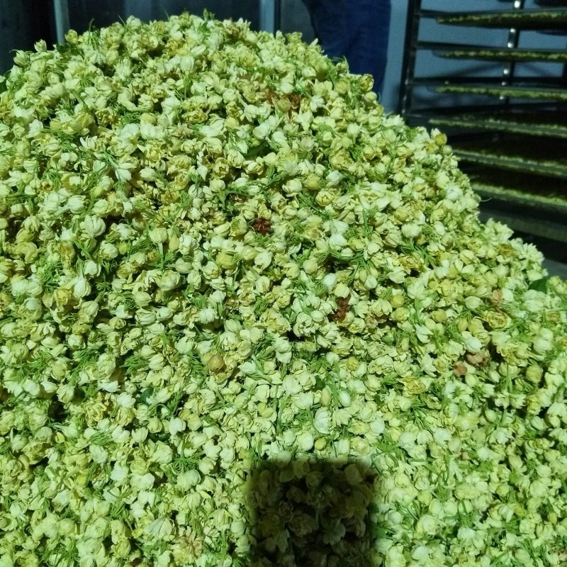 茉莉干花