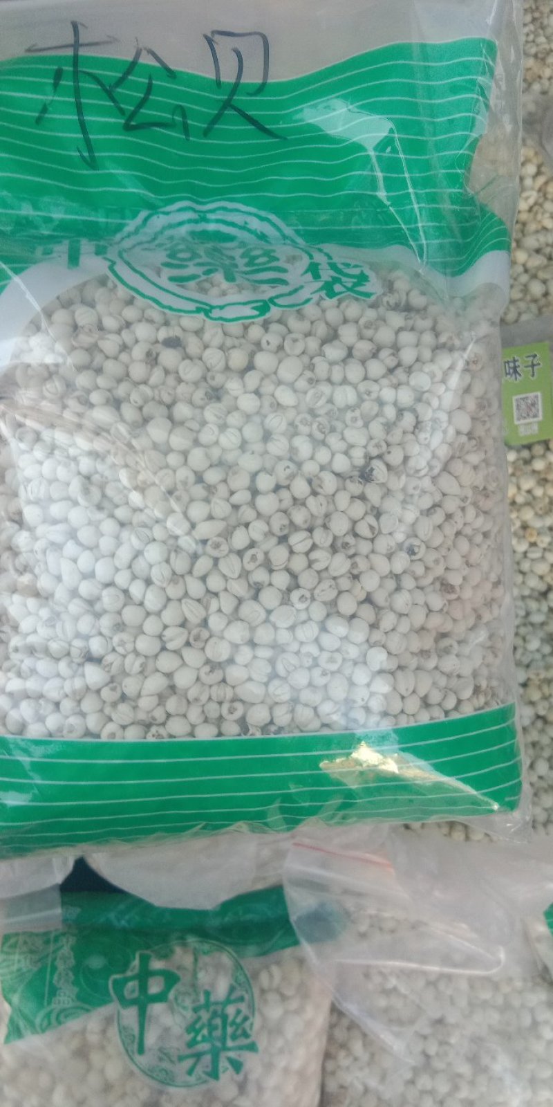 贝母平贝母小浙贝小贝母，川贝各种贝母实物拍摄一斤起