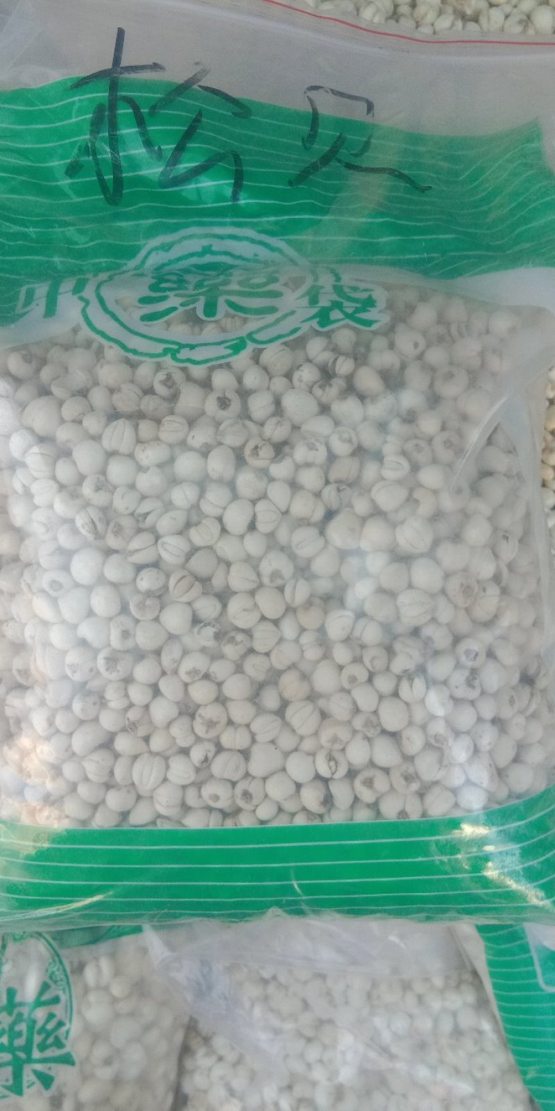 贝母平贝母小浙贝小贝母，川贝各种贝母实物拍摄一斤起