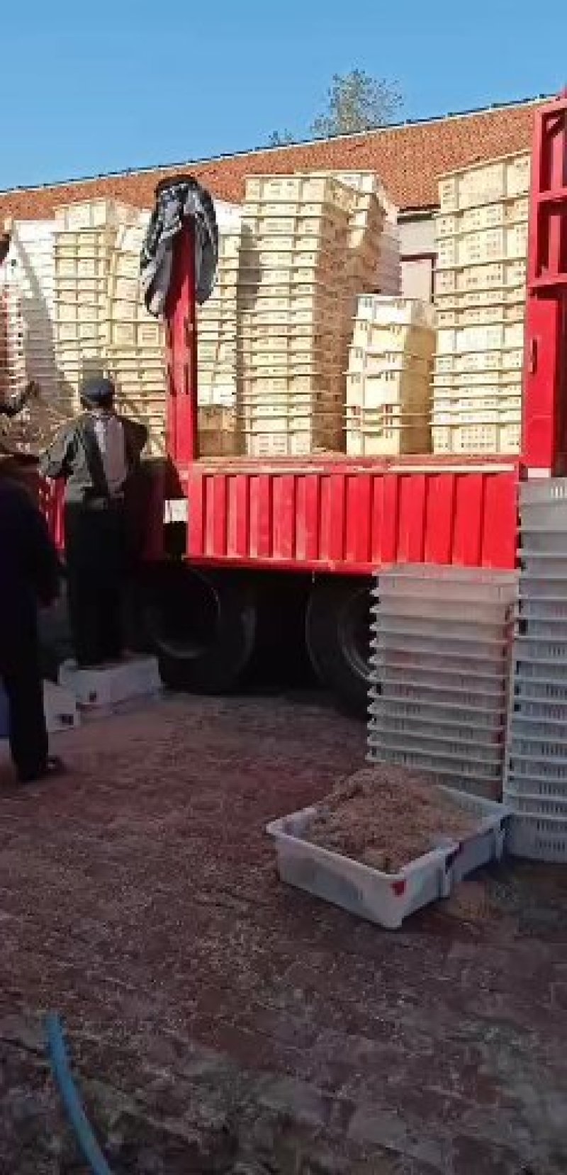 山东小个头虾皮，大量有货，产地直销，批发不包邮费