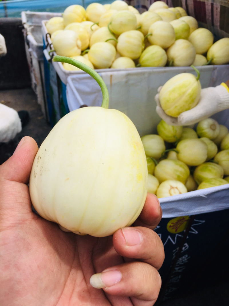 香瓜