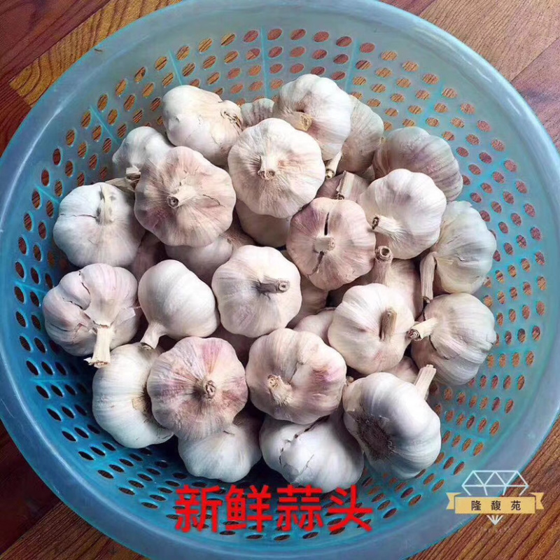 酱香腊八豆