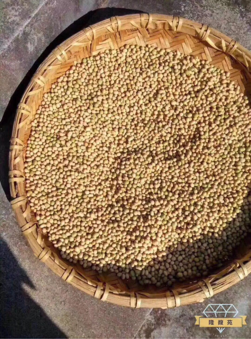 酱香腊八豆