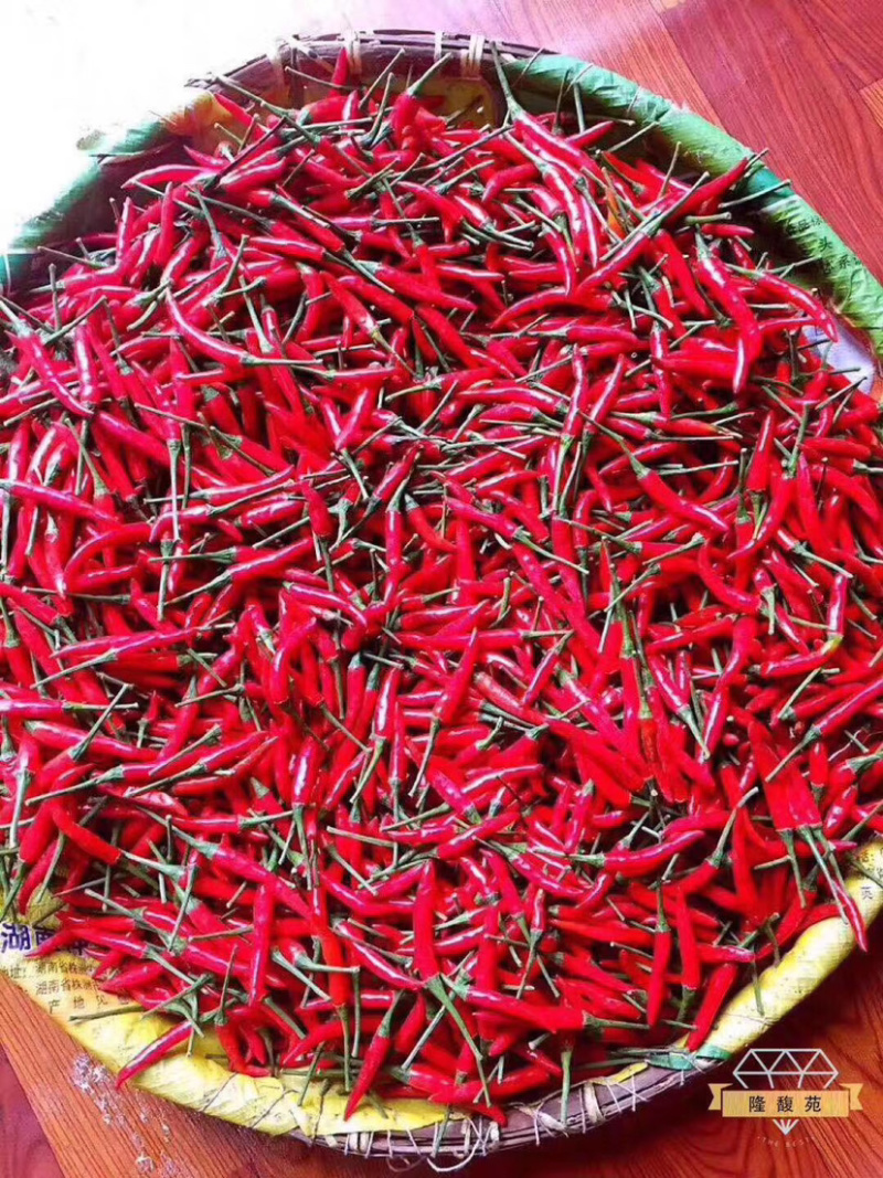 酱香腊八豆