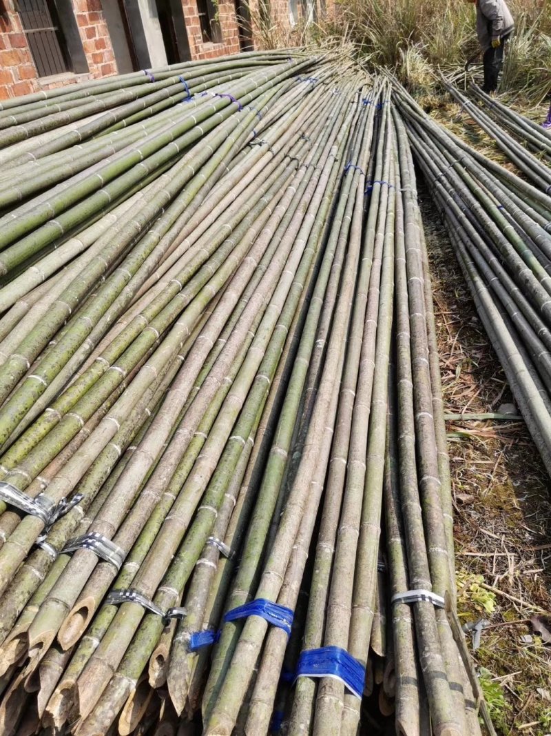 精选烟杆蔬菜架子竹竿架豆角果树支撑架子基地直发欢迎来电!