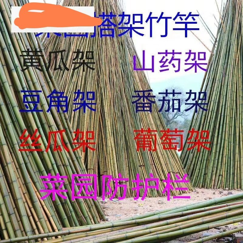 精选烟杆蔬菜架子竹竿架豆角果树支撑架子基地直发欢迎来电!