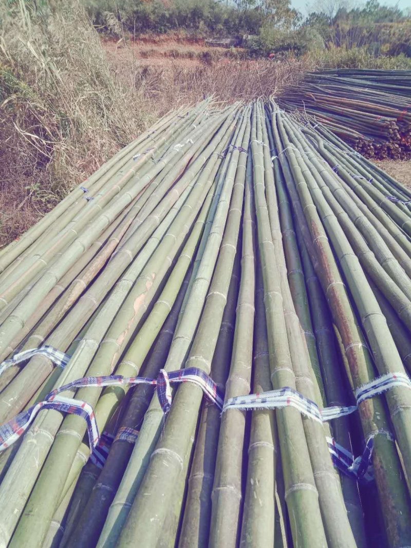 精选烟杆蔬菜架子竹竿架豆角果树支撑架子基地直发欢迎来电!