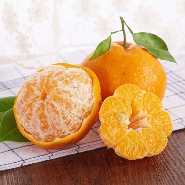 春见耙耙柑