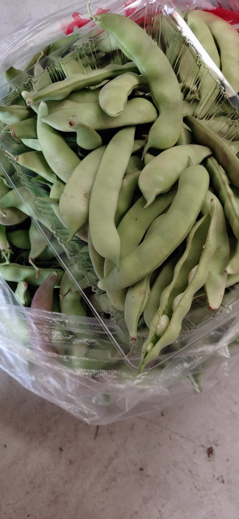 本地货山货哈，这种豆豆是橄榄豆