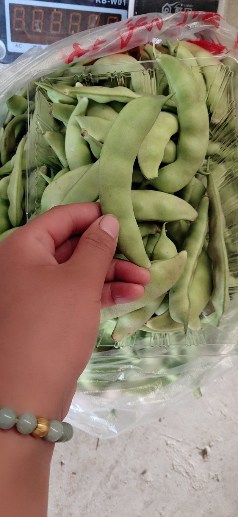 本地货山货哈，这种豆豆是橄榄豆