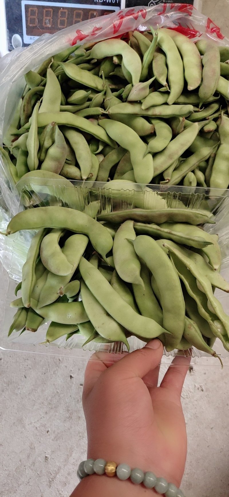 本地货山货哈，这种豆豆是橄榄豆