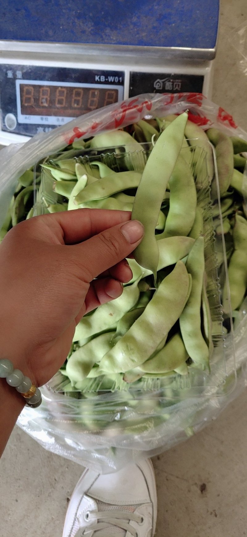 本地货山货哈，这种豆豆是橄榄豆
