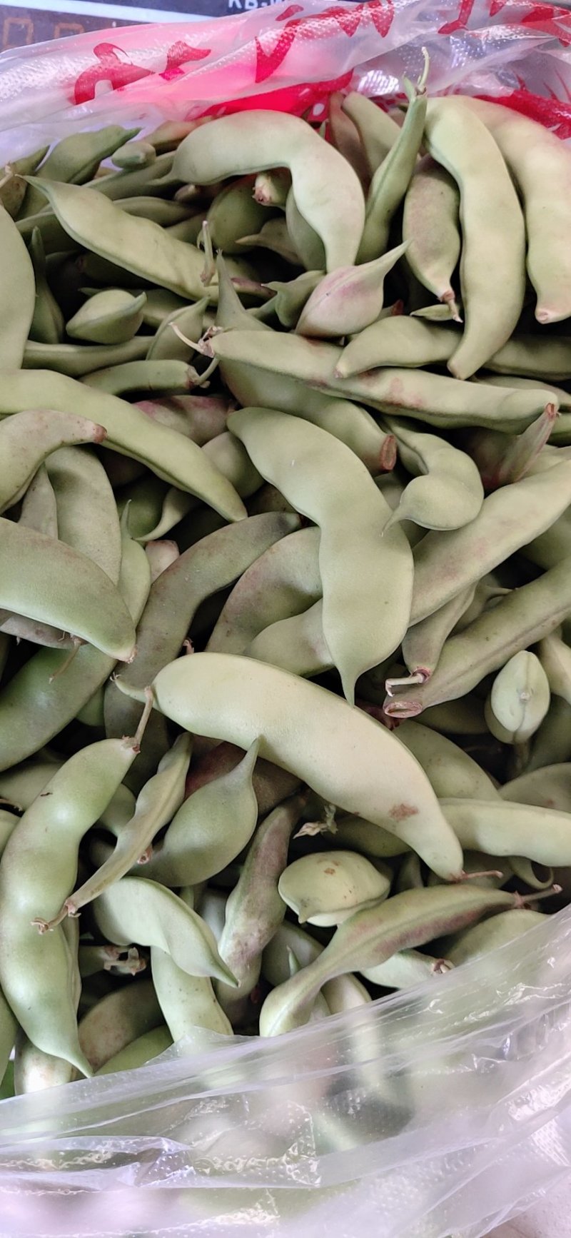 本地货山货哈，这种豆豆是橄榄豆