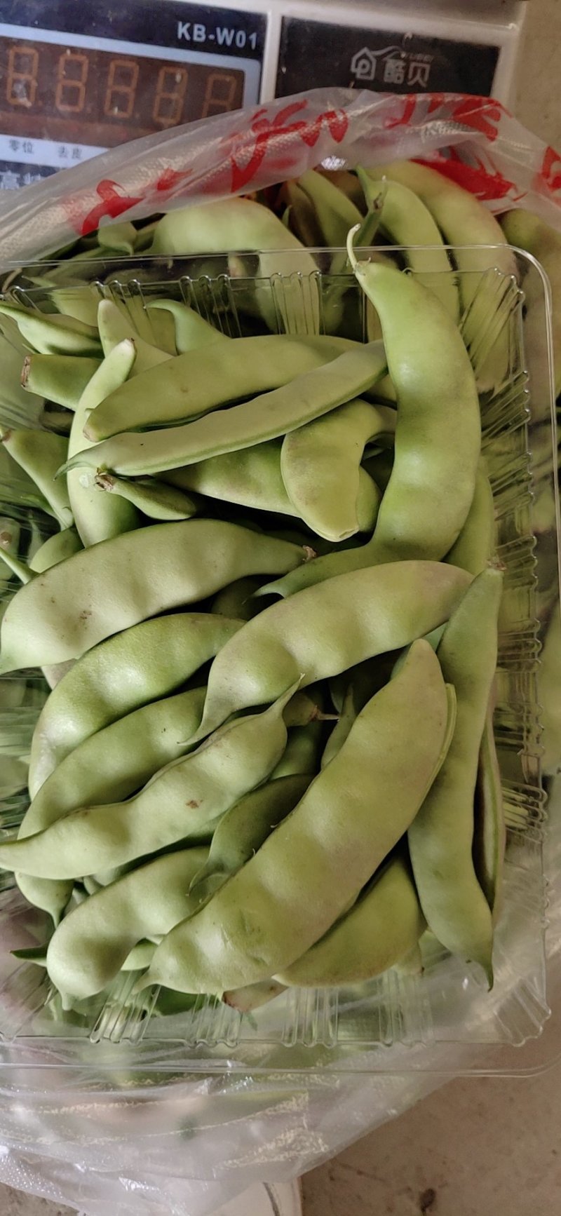 懒橄豆，山货一煮就融的那种