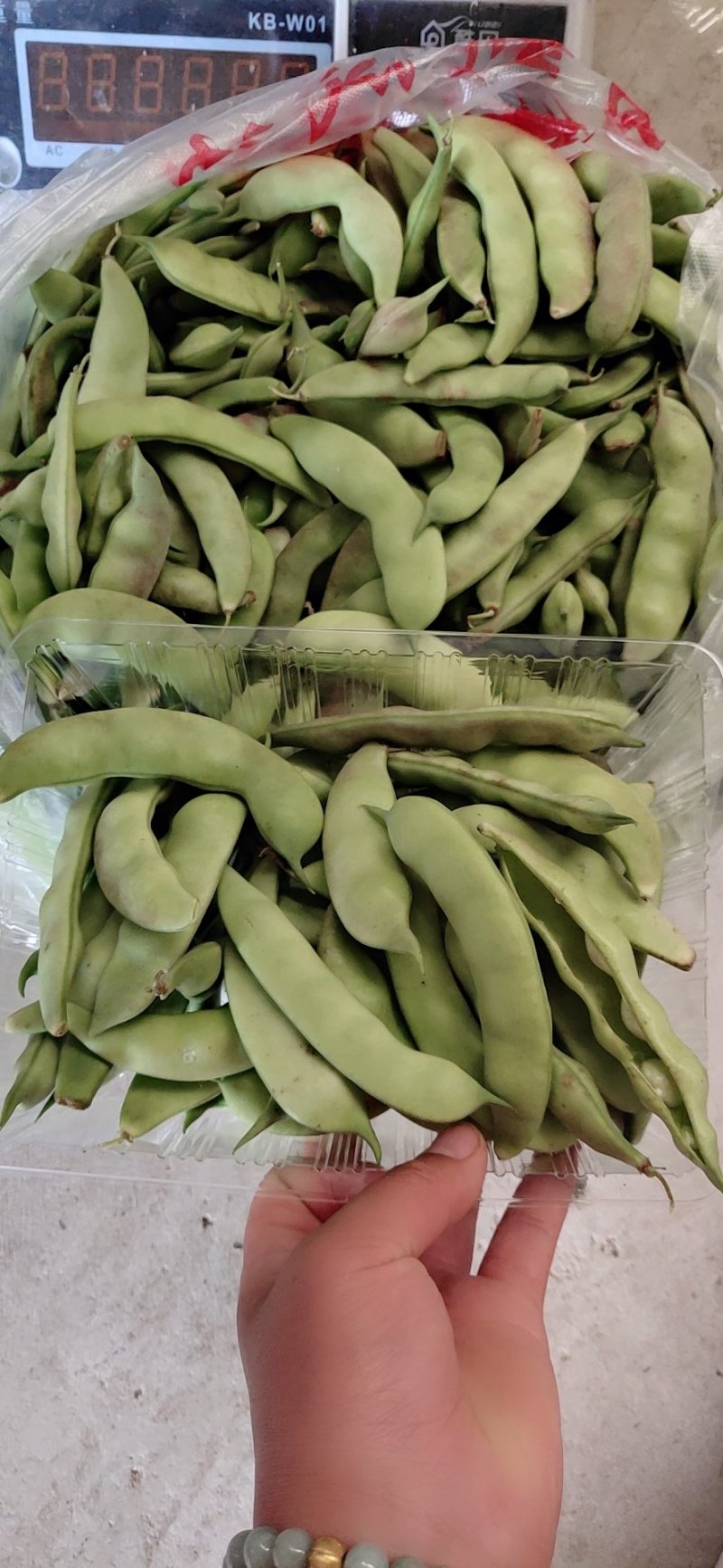 懒橄豆，山货一煮就融的那种