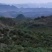 荒山，矿物质肥土质，半山腰，210亩桔子地，一百亩肥土地