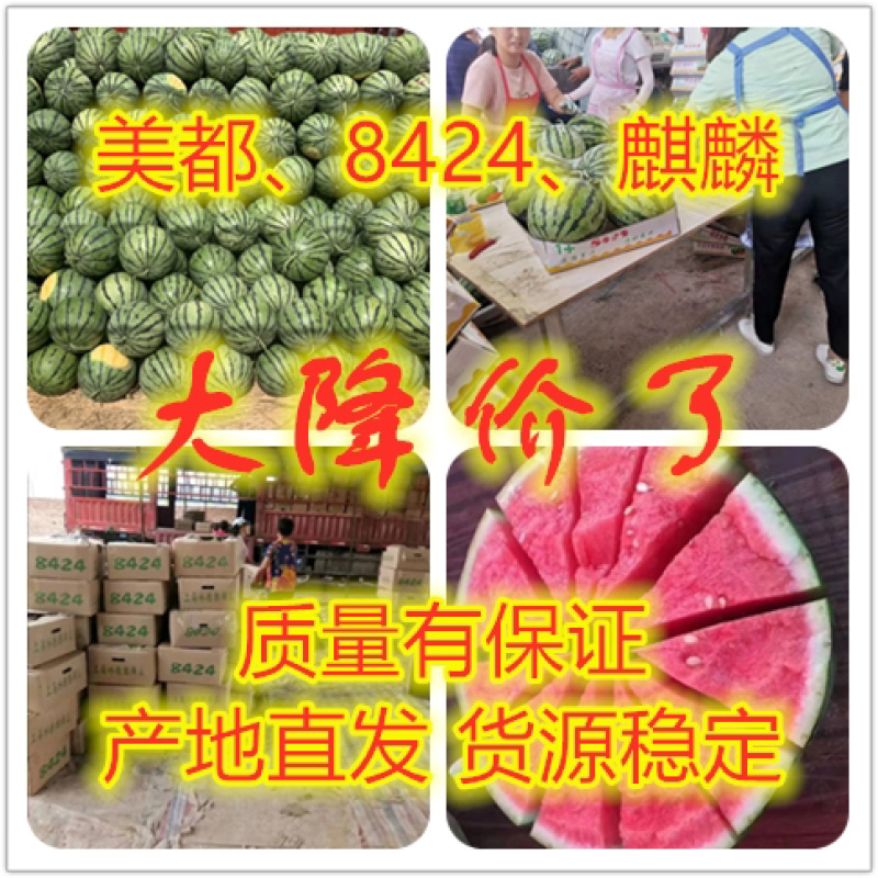 京欣西瓜河南西瓜大量上市诚信代发代办