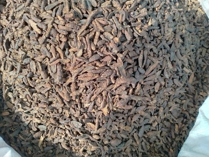 香附子！产地大货直销！一手货源规格齐全！价格低！