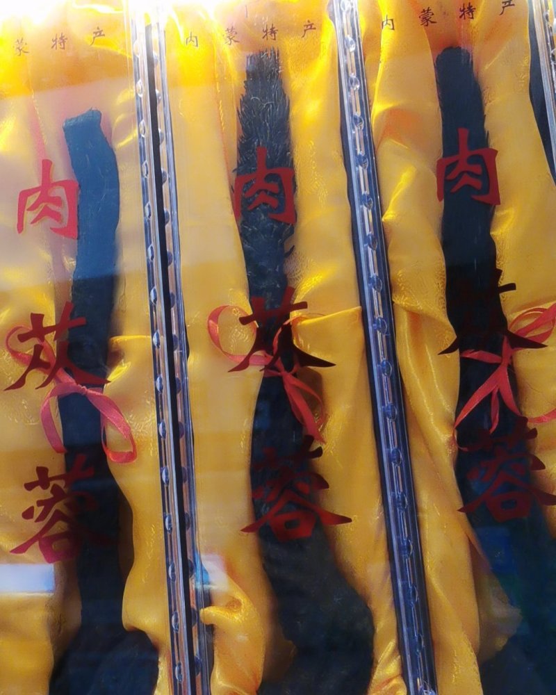 肉苁蓉，产地直销，一手货源，大货批发