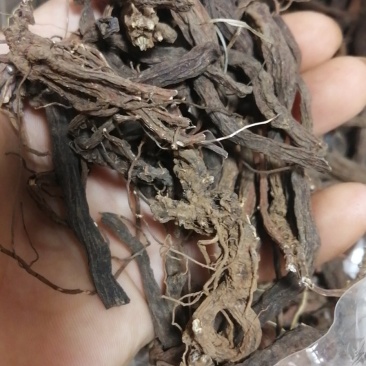 云南野生丹参传统滋补品（丹参）可磨粉配三七