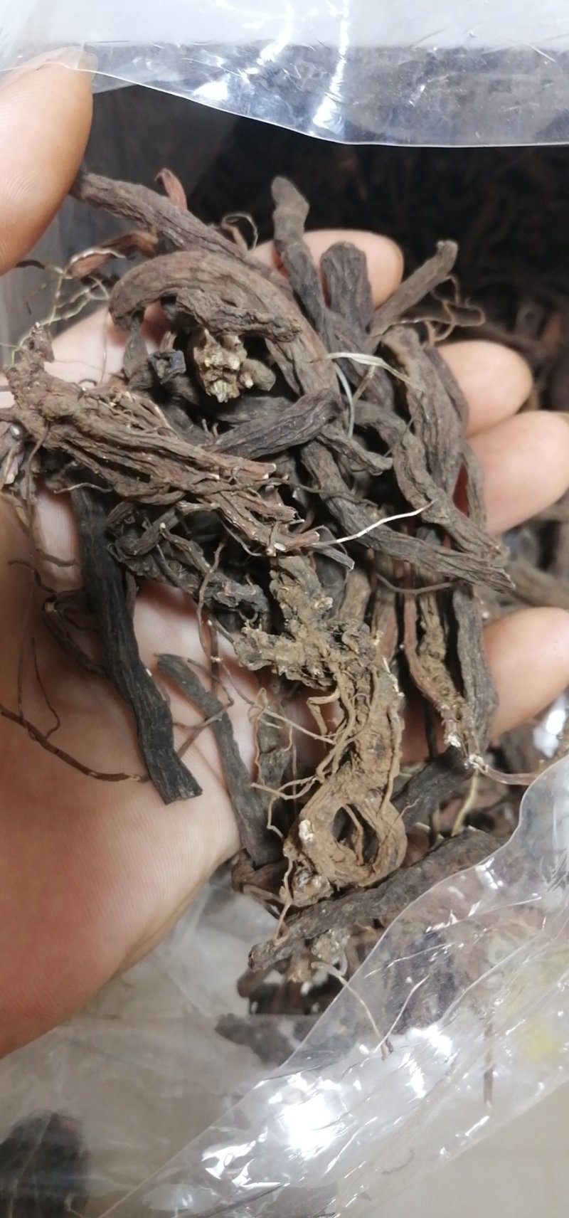云南野生丹参传统滋补品（丹参）可磨粉配三七