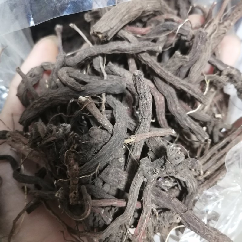 云南野生丹参传统滋补品（丹参）可磨粉配三七