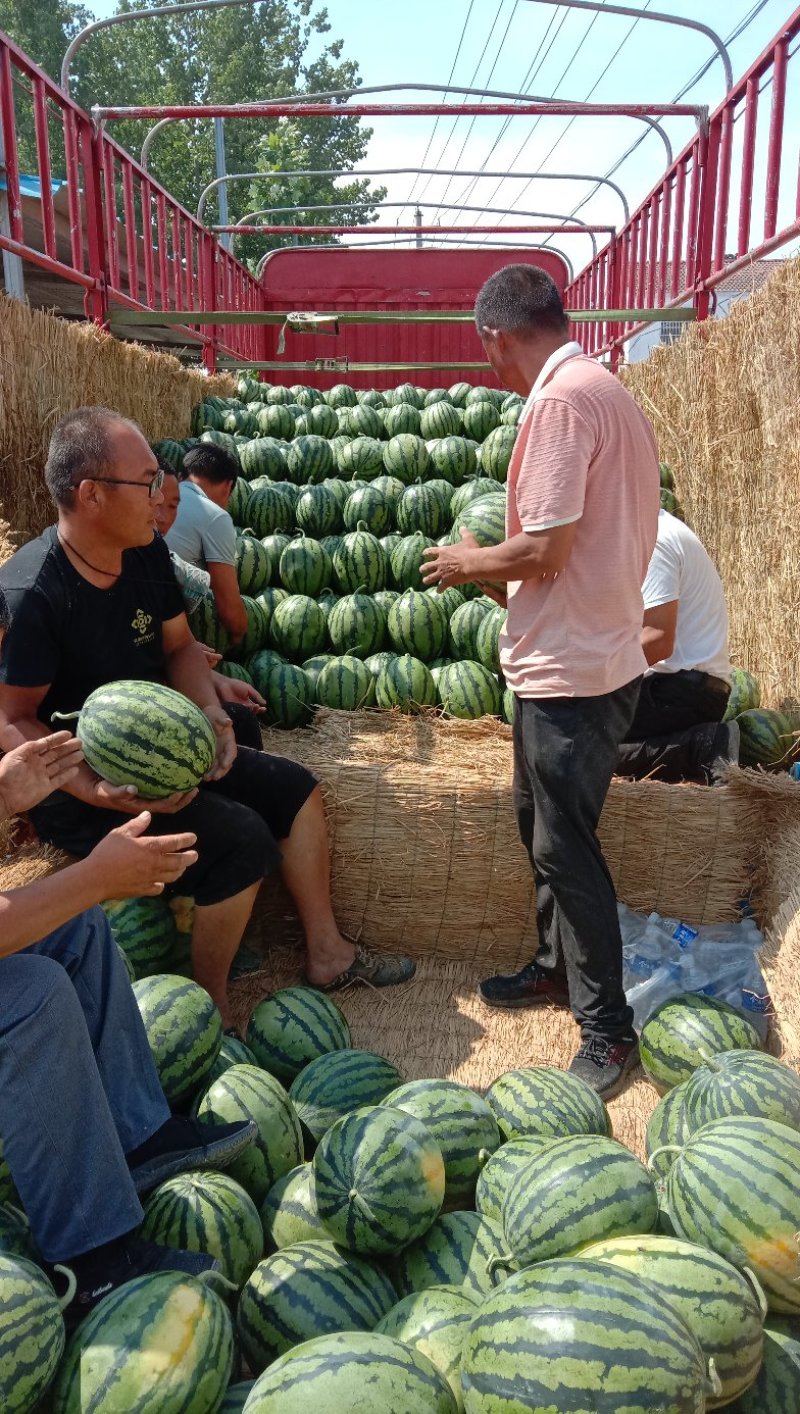 精品西瓜，全美2k西瓜，一手货源视频看货诚信经营品质