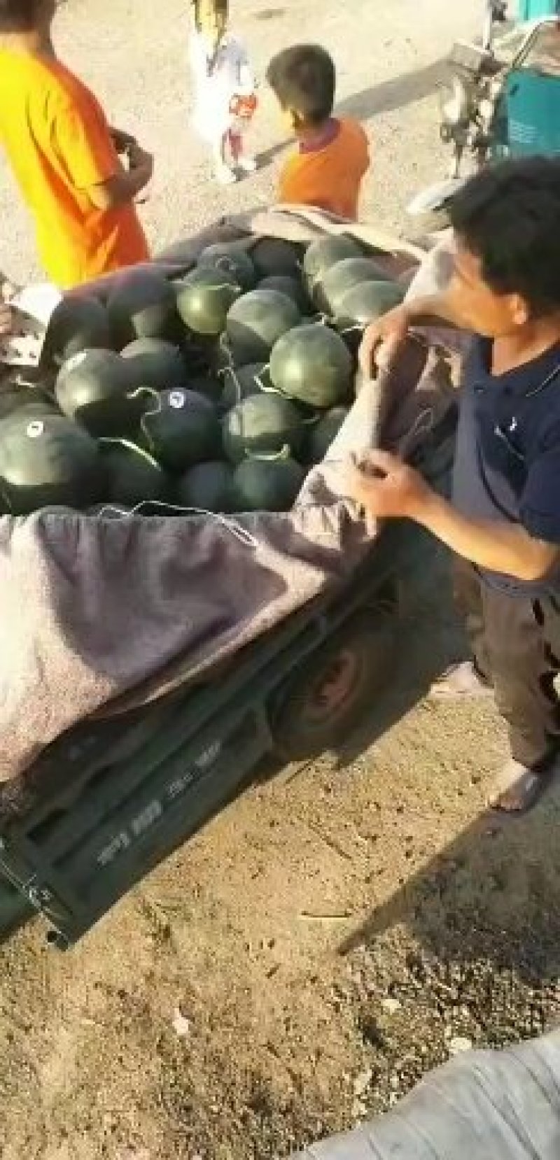 墨瞳西瓜大量上市好吃不贵甜度不错质量不错