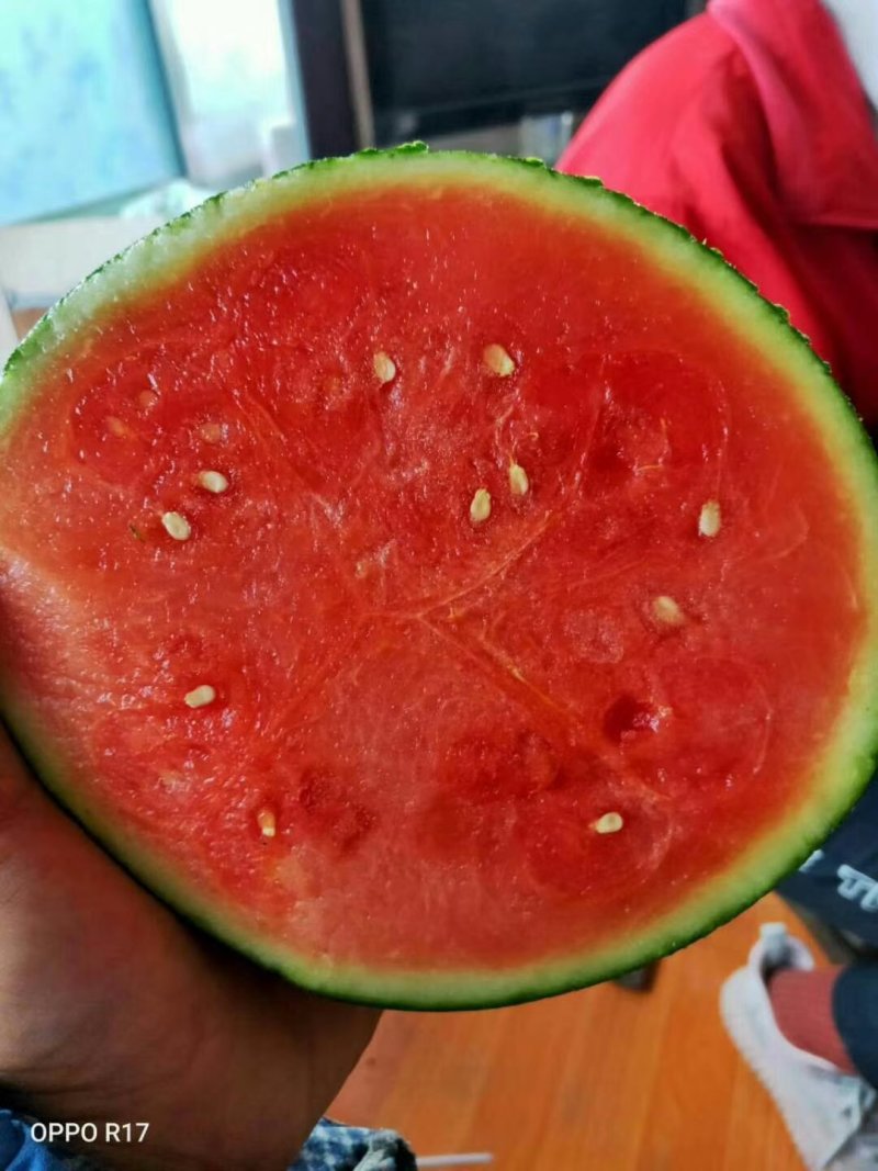 墨瞳西瓜大量上市好吃不贵甜度不错质量不错