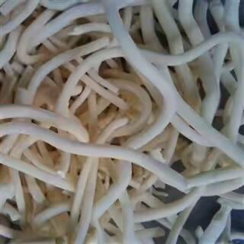 昌玉药材通草产地直销质量保证