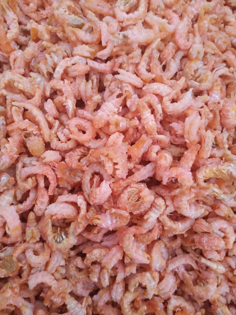 无盐淡干海米虾仁虾米各种规格齐全一手货源