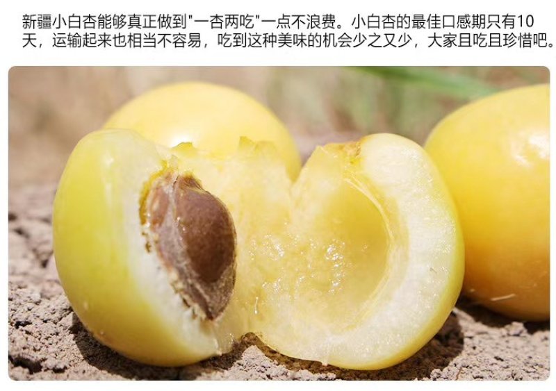 正宗库车小白杏预售顺丰空运，非托克逊李广杏