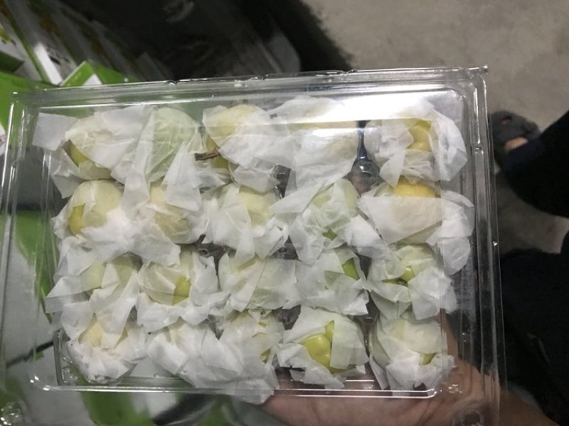 正宗库车小白杏预售顺丰空运，非托克逊李广杏