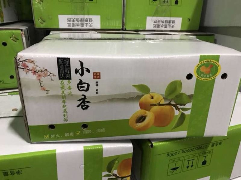 正宗库车小白杏预售顺丰空运，非托克逊李广杏