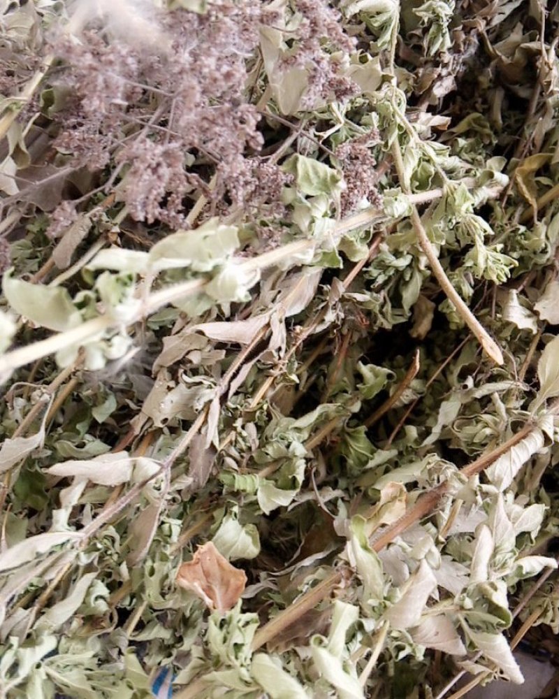 野生牛至香菇草大别山特产野生中草药不是野生不要钱