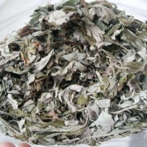 艾叶出售，全棵，叶子，陈艾均有