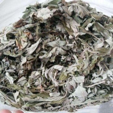 艾叶出售，全棵，叶子，陈艾均有