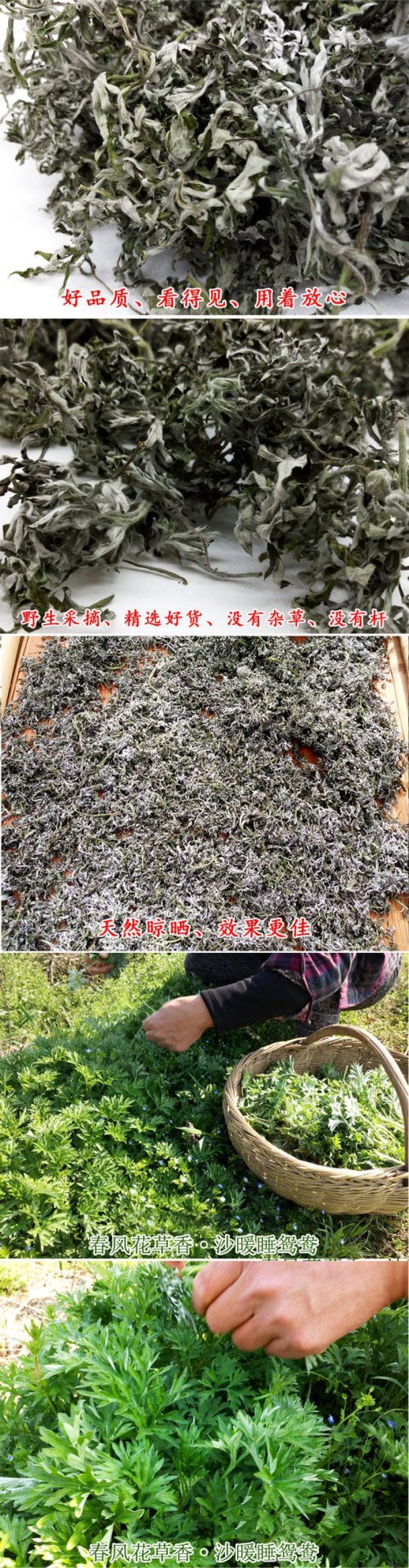 艾叶出售，全棵，叶子，陈艾均有