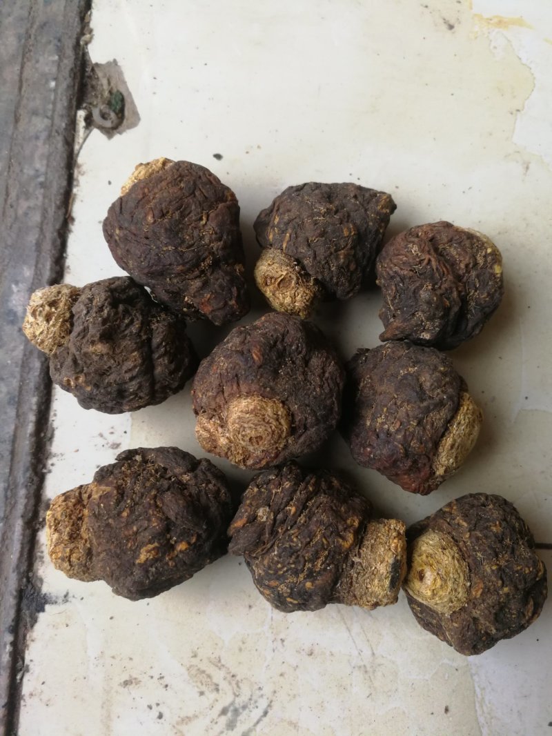 黑玛卡玛卡包邮不要运费