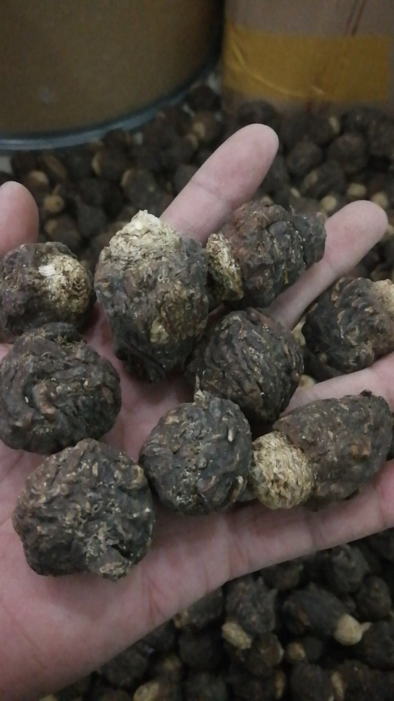 黑玛卡玛卡包邮不要运费