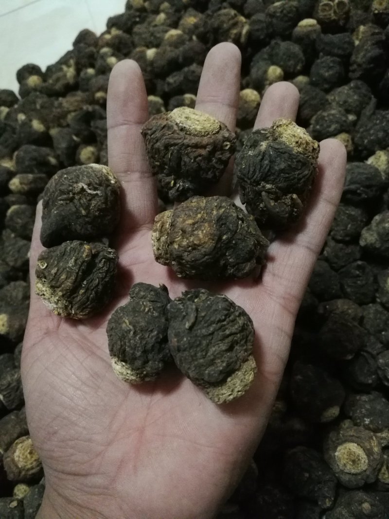 黑玛卡玛卡包邮不要运费