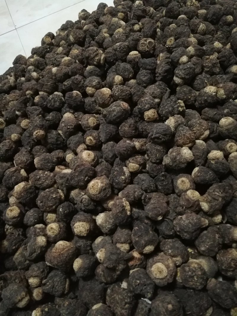 黑玛卡玛卡包邮不要运费