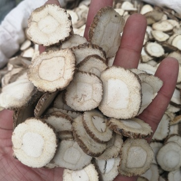 白芷白芷片中药材批发产地直销