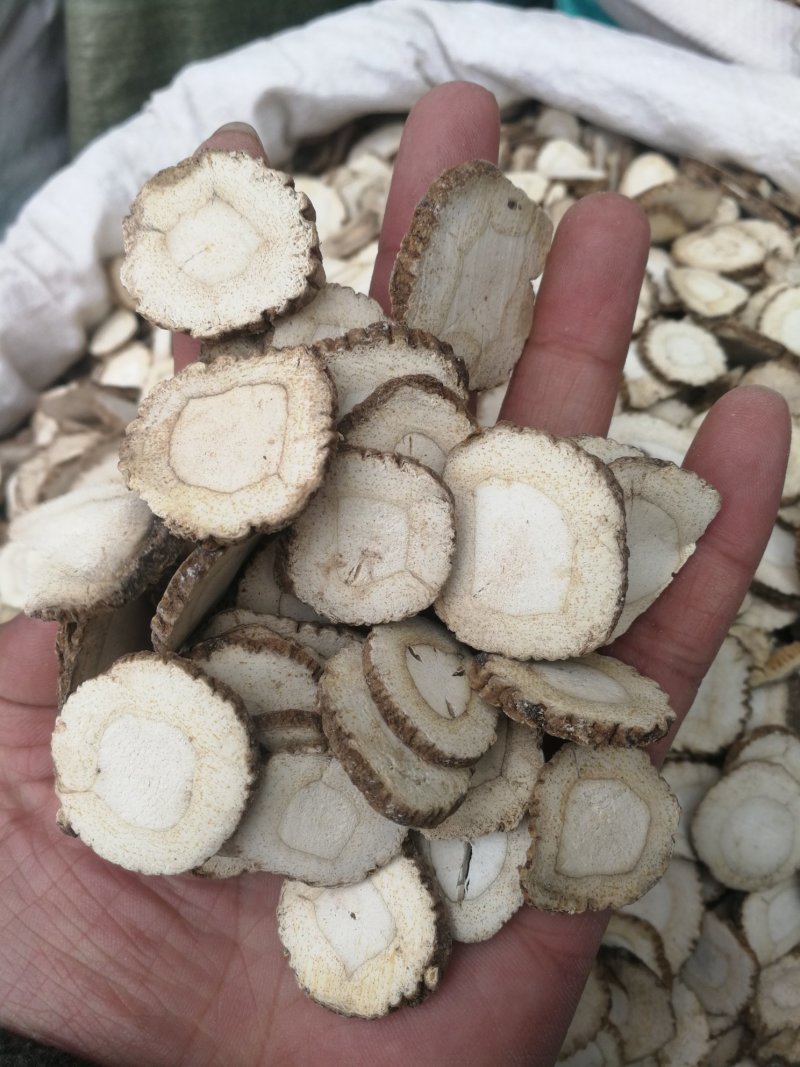 白芷白芷片中药材批发产地直销