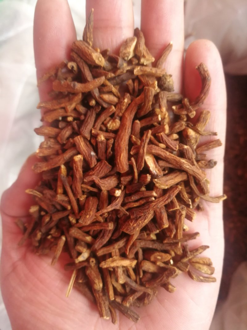 蒲公英根蒲公英根花茶产地直销一手货源